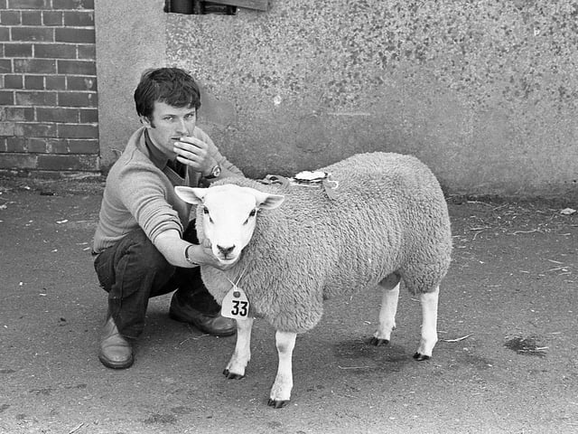 This collection of old photos is from 1981.