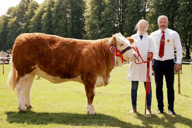Molly Bradley, from Armagh, and judge Alan Wilson, with her overall breed champion in the Simmental classes at Lurgan Show. Picture: Cliff Donaldson