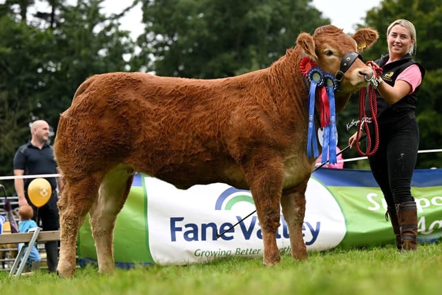 Katrina Killen exhibited the reserve intermediate and reserve female champion Glenmarshal Tiamaria owned by Trevor Shields, Kilkeel. Picture: Kathryn Shaw, Agri-Images 