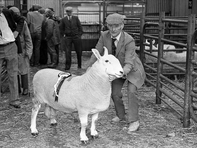Robert Mulligan from Banbridge, with the reserve champion Border Leicester at the show and sale at Ballyclare in September 1981. Picture: Farming Life archives