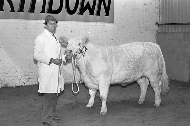 Mr Thomas W Taylor, Fyfin, Strabane, Co Tyrone, pictured in October 1982 with his Charolais champion female at the Automart show and sale in Portadown. Picture: Farming Life/News Letter archives