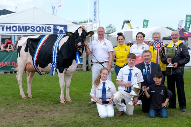 Supreme Interbreed Dairy Champion was Damm Tatoo Sallie owned by the MIllar family, Coleraine, who received the trophy from  Declan Billington, John Thompson and Sons Ltd. Photograph: Columba O’Hare/ Newry.ie