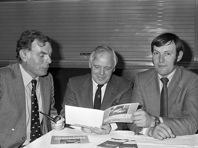 This collection of old photos is from 1981.