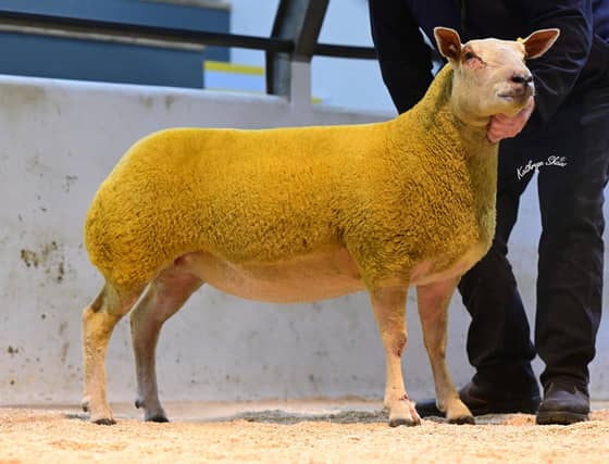 Lot 27 Selling for 2,100 to Edward Buckley