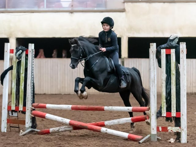 Lucy Johnston and Charmer win Classes 9 & 10. (Pic: Equi-Tog)
