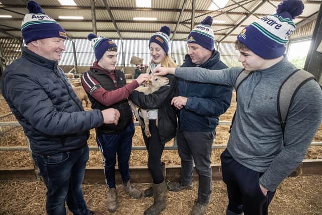Jim Mulhall, vice-chair of Agri Aware and Agri Aware chairman Shay Galvin talk lambs with Marty Treacy, Mary Cooney and Adam Hackett from Colaiste Mhuire Co-Ed, Thurles, Co Tipperary, during the Agri Aware farm walk and talk event at Kildalton Agricultural College. Picture: Submitted
