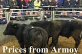 Armoy Mart