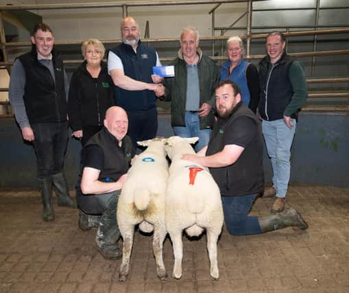 Conor Porter Raphoe In pictures: Raphoe Livestock Mart Spring Lamb Show and Sale