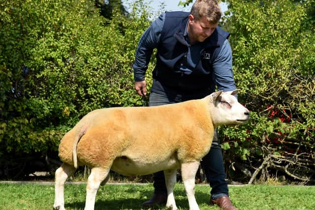 Lillieslief Greens are the dream team at CCM Skipton’s annual pedigree ...
