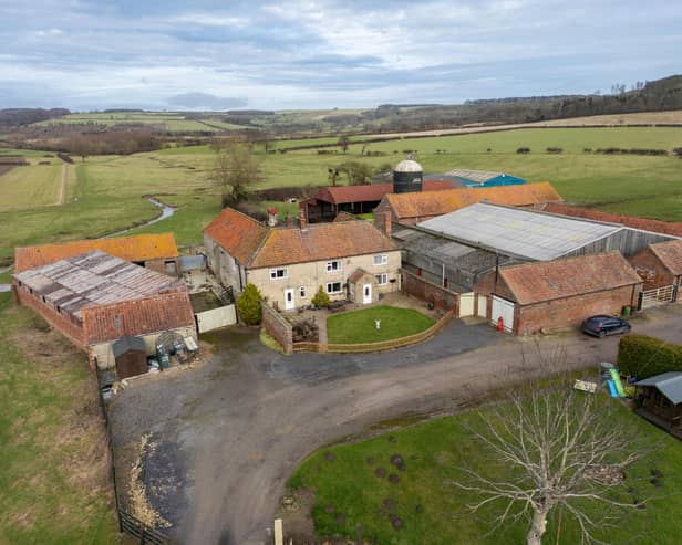 Bellmanear Farm is an attractive livestock farm of nearly 100 acres with a traditional stone farmhouse and farm cottage. Pic: GSC Grays