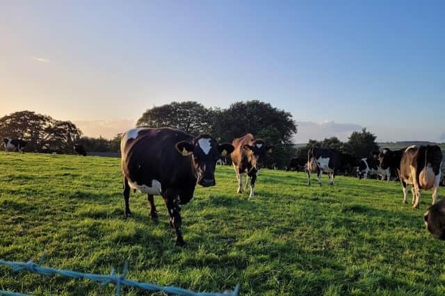 The EU Sustainable Dairy Symposium was held in Antrim on Tuesday