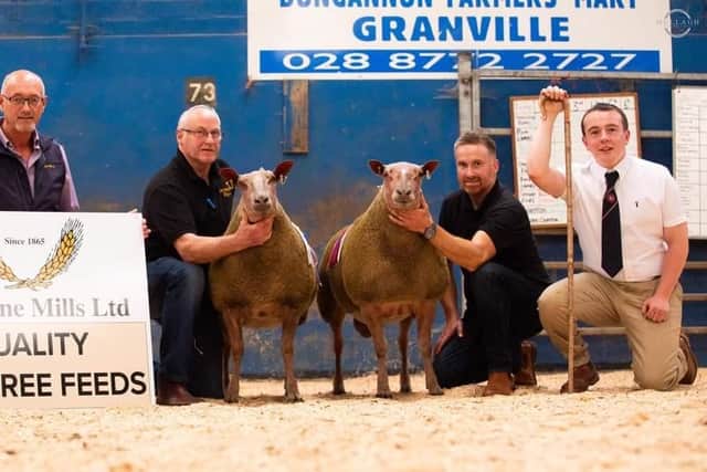 Champion and reserve champion from the Oldwood Flock of James and Stephen Houston with pre-sale show sponsor Sam Ritchey from Strabane Mills and Judge Euan Campbell. Pic: Rouge Club