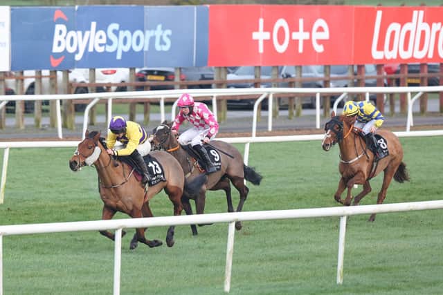 Gamigin takes victory in the third race, ridden by Gavin Brouder. (Photo by Philip Magowan / Press Eye)
