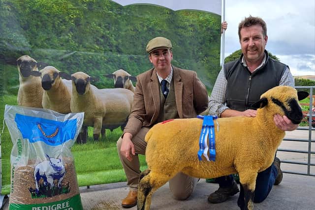 Sean Doyle with his 1st placed Ewe Lamb and Reserve Female Champion ,along with Judge Stephen Short