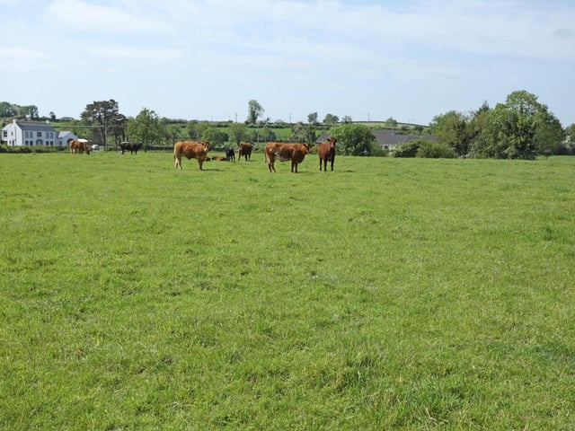 "Laureldeane", 37 Kilrea Road Garvagh, BT51 5LR 4 Bed Detached House with Small Holding