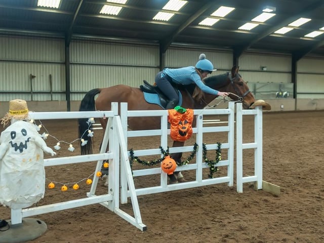 13 and over Obstacle course winners Holly Hanvey and Jeeves. (Pic: Equi-Tog)