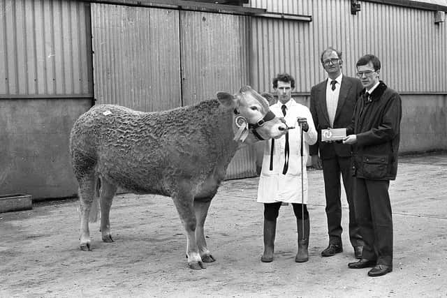 Pictured in February 1992 is John Henning of the Northern Bank agricultural department, who is presenting a cheque to Adrian McClure of Ballywalter, exhibitor of the reserve champion at the Blonde d’Aquitaine show and sale in the Automart, Portadown. Included is the judge, John Hall of Carlisle, England. Picture: Farming Life/News Letter archives