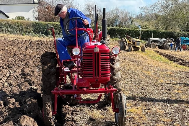 Tom Herron brought his vintage tractor  to the ploughing last Saturday