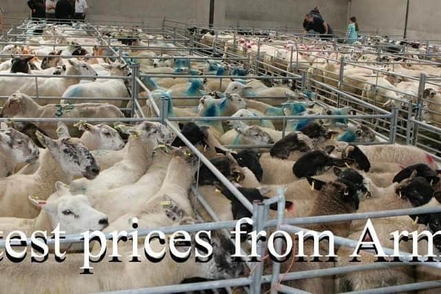 Armoy mart