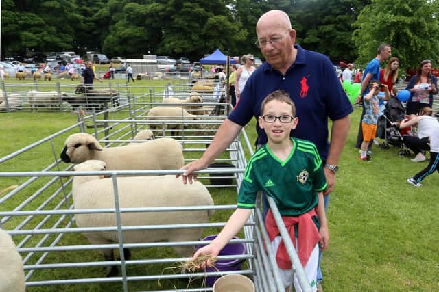 Davy Hutchinson and his nephew Lee Wheelen pictured feeding the sheep at Lurgan Show in 2016.  Picture: Farming Life archives/Alan McMullan