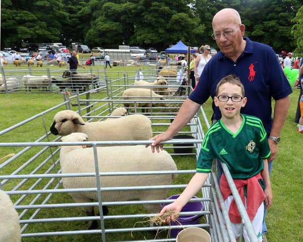 Davy Hutchinson and his nephew Lee Wheelen pictured feeding the sheep at Lurgan Show in 2016.  Picture: Farming Life archives/Alan McMullan
