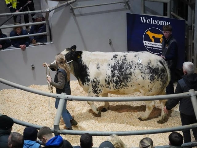 Lot 5 selling for £7200