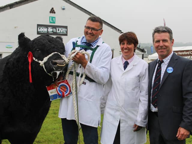 Jason and Sarah Wareham with their 2019 Great Yorkshire Show Galloway champion Welling of Kilnstown with judge John Teare, Isle of Man.