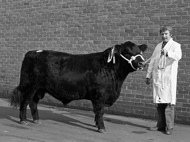 This collection of old photos is from 1981.