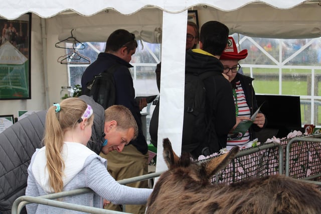 The 2023 Balmoral Show continued yesterday after a very successful first day. Pictures: Joanne Knox