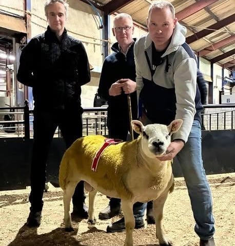 Jonathon McKinney, judge with sponsor Mike Reynolds CVS Vets hands over the Champion rosette to Alan Glendinning Lylehill Flock at the pre-sale show of Texels at Draperstown.