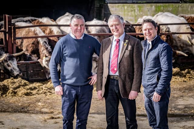 Richard Beattie from Beatties Glenpark Farm, William Irvine from the Ulster Farmers’ Union and Colin Smith from the Livestock and Meat Commission are pictured on Beatties Glenpark Farm near Omagh. Beatties is one of the 19 farms participating in Bank of Ireland Open Farm Weekend 14-16 June. More information at www.openfarmweekend.com