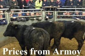 Armoy Mart