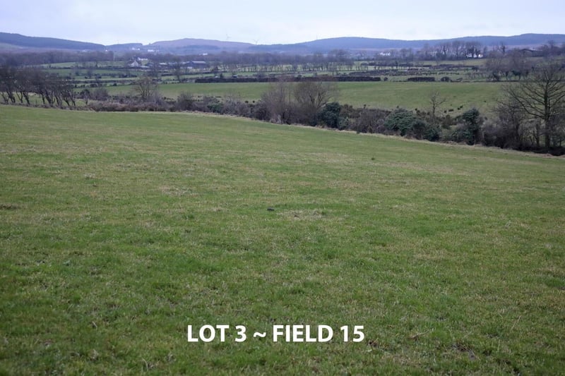 62 acre farm on the market in NI for £800,000