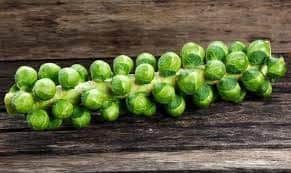 Like them or loathe them - sprouts will be on the plate on Christmas Day