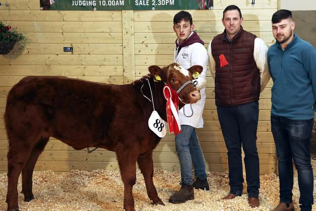 Robbie Wilson, Overall Commercial Champion at Fermanagh Pedigree Breeders Show and Sale. Also included are Paul Kingham, Judge and Lee Burleigh, Riverside Quality Meats, Sponsor.