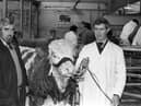 Mr Bertie Watterson of Magherafelt, Co Londonderry, pictured in November 1982 with a young bull at a Simmental Club show and sale which was held at the Automart in Portadown. Holding the bull is stock manager Mr Andrew Patterson. Picture: Farming Life/News Letter archives
