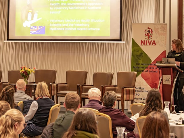 Esther Skelly-Smith provided an update on work undertaken across a range of welfare priorities since the inaugural All-Ireland Equine Welfare Symposium in 2024.