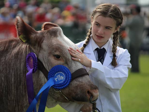 Balmoral Show ended on a high on Saturday - Maisy Lee and Holly take part in the cattle parade.