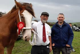 John Cross, chairman of the Mounthill Fair, from Ballynure, his son John, and Castletown Clover, a one year old filly who was awarded first prize at the fair. Picture: Darryl Armitage