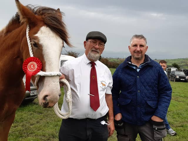 John Cross, chairman of the Mounthill Fair, from Ballynure, his son John, and Castletown Clover, a one year old filly who was awarded first prize at the fair. Picture: Darryl Armitage