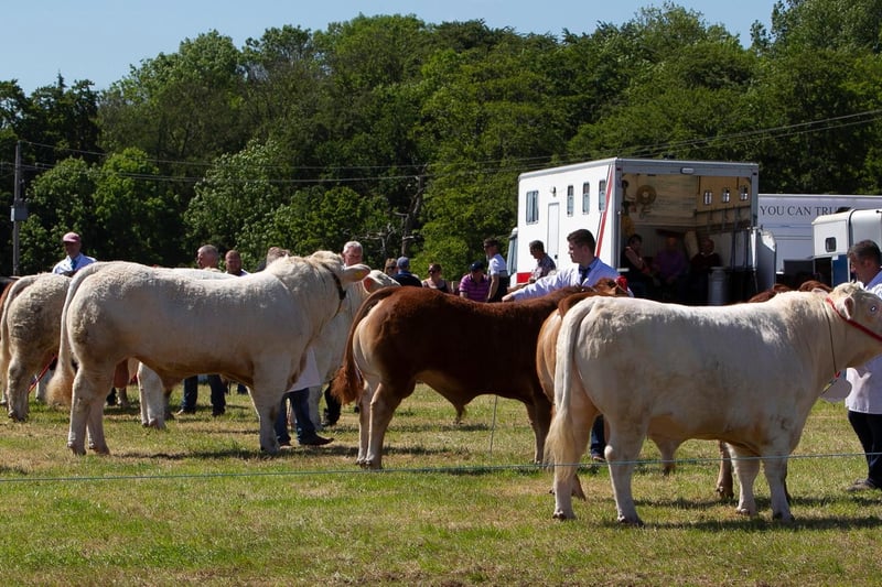 Ballymoney Show returns for 2023. It will be held on 2 June (for ponies) and 3 June.