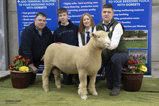Samuel and Elaine Caldwell (right) with Thomas and Sam Wright (left) and Ballymaconnelly Iceman who was the top price at the Dorset Diamonds Sale making 4,600gns.