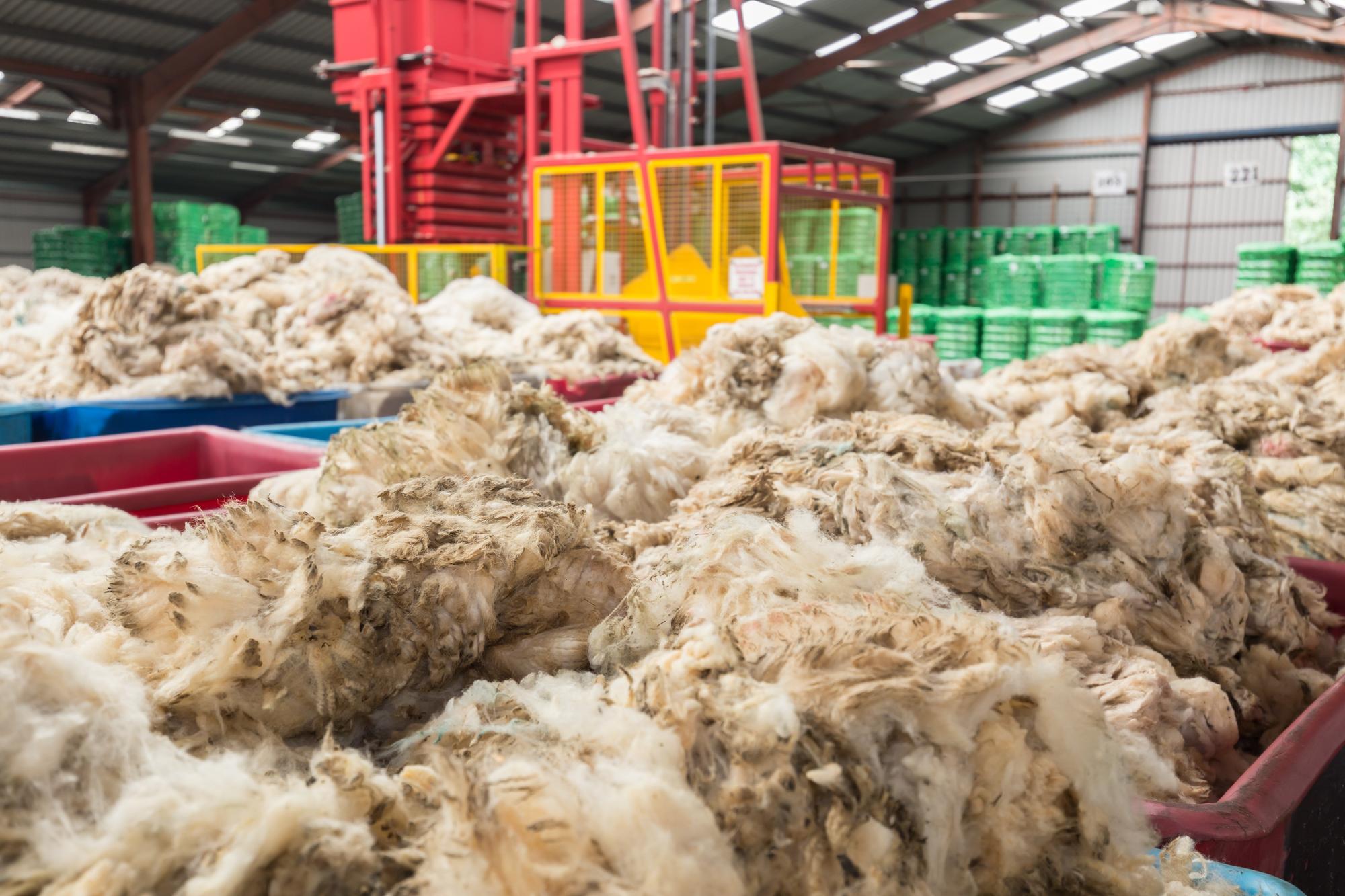 Solid start to new season wool sales