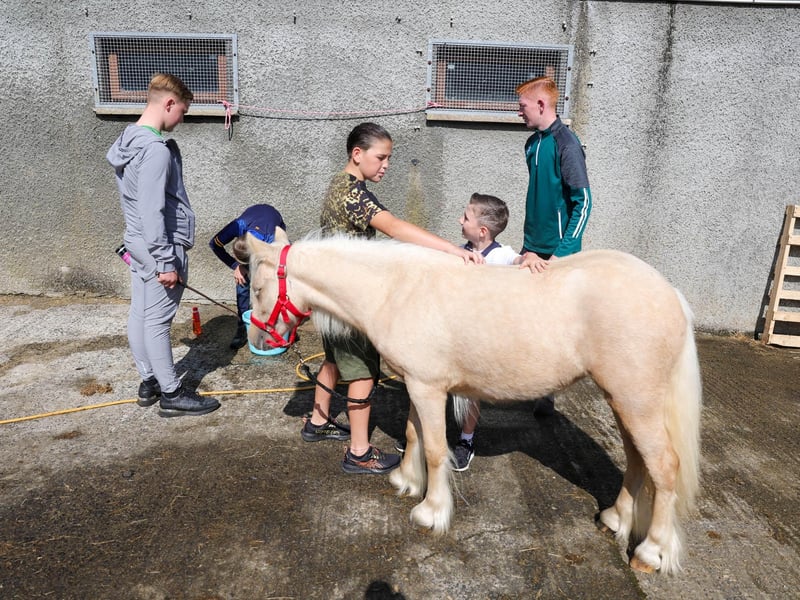 Annual Ould Lammas Fair is held in Ballycastle, Co. Antrim.