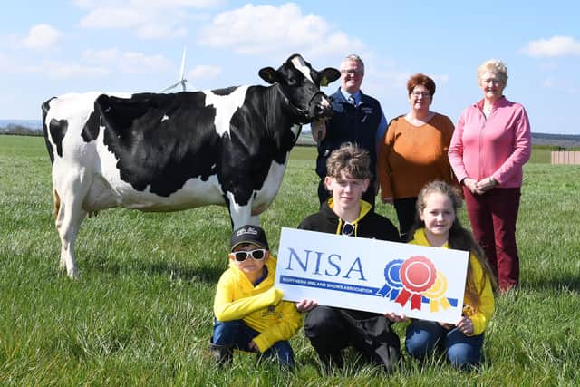 The Thompsons/NISA Dairy Cow Championships gets started on the 3rd June at Ballymoney Show, the first of nine chances to qualify for the final at Antrim Show on the 22nd July. Thompsons’ Ronald Annett is helped launch the league with Linda Davis representing Antrim Show, NISA Chair Kate Mark and of course Brodie, Charlie and Bella were on hand at Millar Farms to make sure everything ran smoothly at the launch.