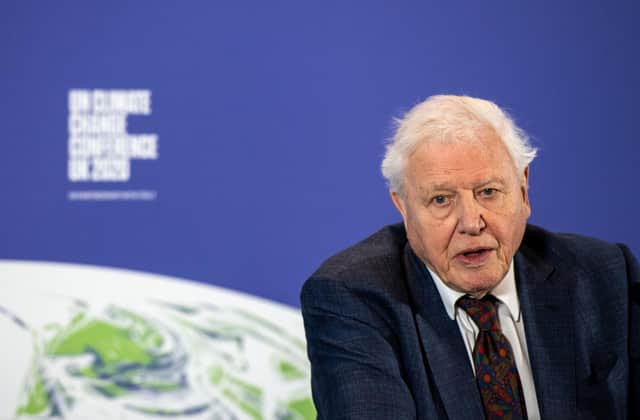 Top inspirational figure tackling climate change, Sir David Attenborough (photo: Getty Images)