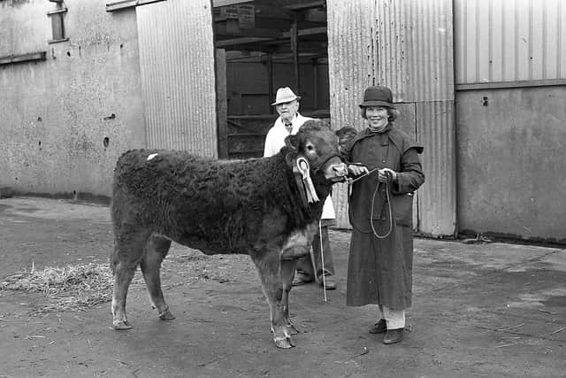Trade for Limousins at the club sale in the Automart, Portadown, near the end of February 1992, was excellent and followed the trend that had been set in Perth. In this photograph we see Miss Margaret Buchanan of Sees Farm, Augher, Co Tyrone, with the reserve champion female, See Gemma. Picture: Farming Life/News Letter archives