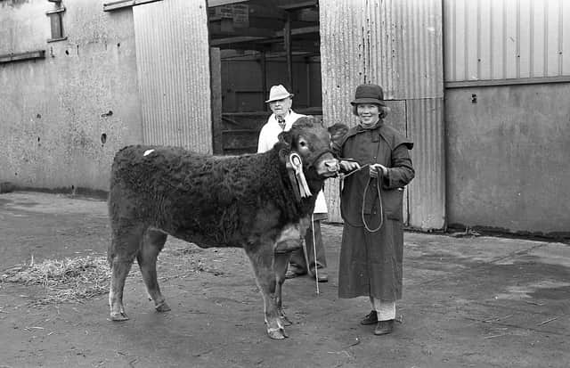 Trade for Limousins at the club sale in the Automart, Portadown, near the end of February 1992, was excellent and followed the trend that had been set in Perth. In this photograph we see Miss Margaret Buchanan of Sees Farm, Augher, Co Tyrone, with the reserve champion female, See Gemma. Picture: Farming Life/News Letter archives