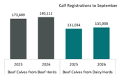 Calf registrations to September 2025 and 2026