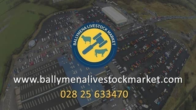 Ballymena Livestock Market